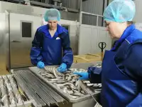 Отличное рыбоперерабатывающее предприятие