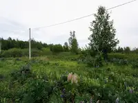Продам земельный земельный участок, Коллективный сад n37 ост оао умпо тер, фотография 8