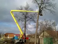 Спил деревьев. Очистка участка