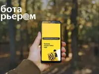 Курьер в Яндекс.Еду