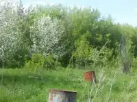 Участок под ИЖС 23.1 сотка, Самарская область, Красноармейский район, село Колывань, ул. Пушкина