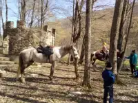 Конные экскурсии., фотография 9