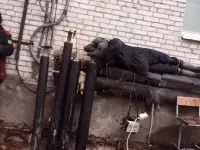 Услуги по РДСварке с выездом, фотография 2