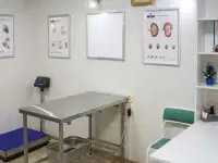 Кастрация кошек и собак, фотография 3