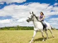 Конные прогулки в Геленджике
