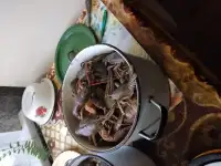 Живые раки