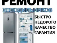 Ремонт холодильников Чишмы на дому