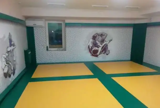 Борцовский ковер, стеновые протекторы, маты..., фотография 4
