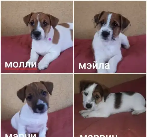 Продажа, фотография 1