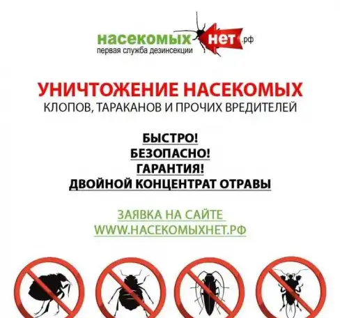 Уничтожение,клопов,тараканов,муравьев, фотография 8