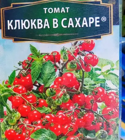 Рассада, фотография 3