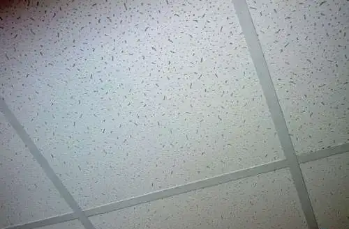 Потолок Армстронг, фотография 1