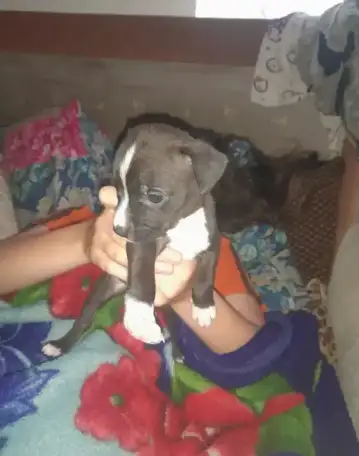 Продаю, фотография 1