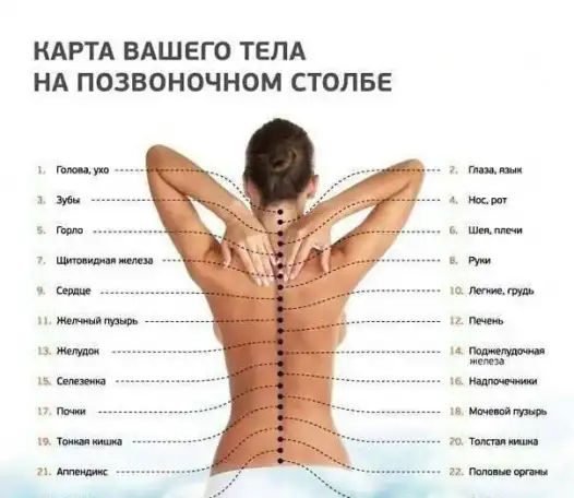 Акупунктурный электромассажер, фотография 4