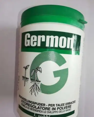 Корневой стимулятор Гермон (Germon) 0,5%, 10 г, фотография 1