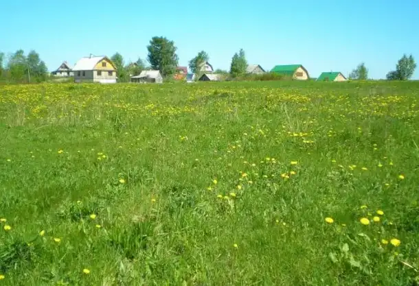 Продажа участка в КП Солнечное (в д.Жоржино) Нурминское с/поселение, фотография 5
