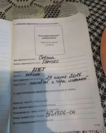 Продам собаку, фотография 2
