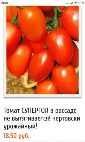 Семена, фотография 5