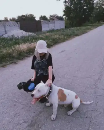 Вязка, фотография 2