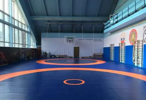 Борцовский ковер, стеновые протекторы, маты..., фотография 3