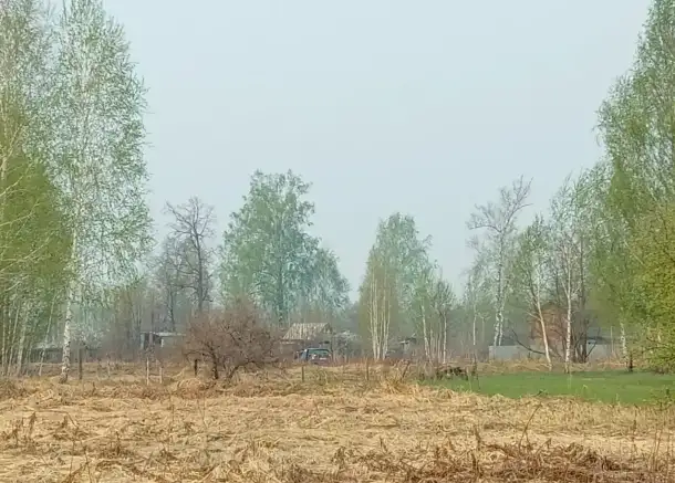 СНТ Берёзка, фотография 4