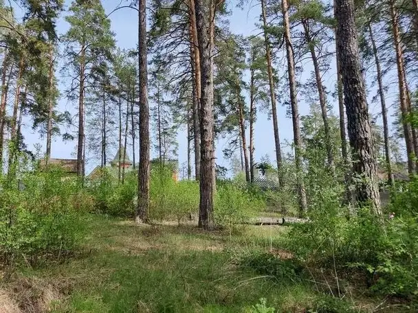 Продам земельный земельный участок, Лесопарковое шоссе, фотография 1