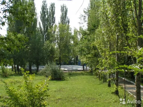 Отдых на Волге Саратов с питанием, фотография 18