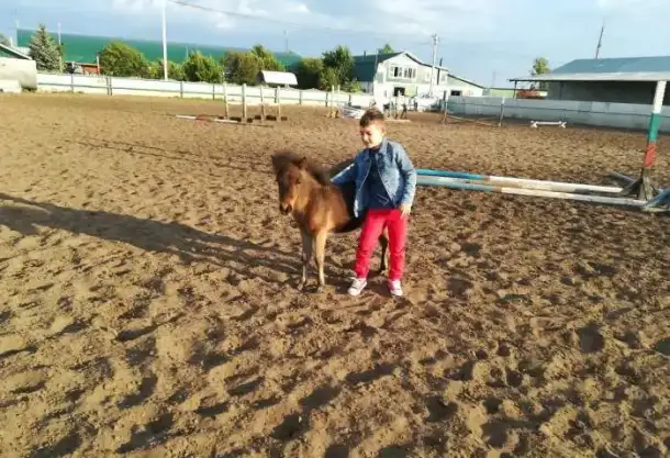 Катание детей на пони, фотография 2