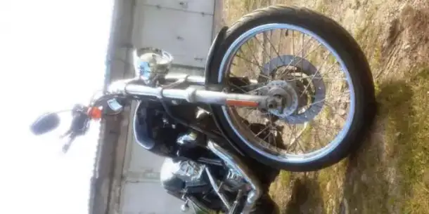 Harley-Davidson Sportster XL1200 Custom, фотография 5