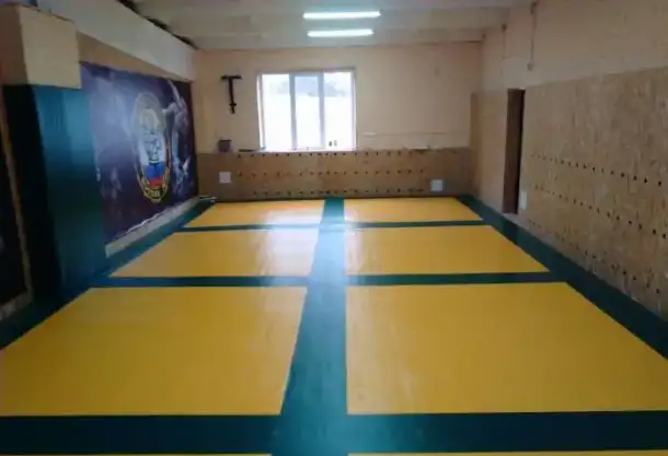 Борцовский ковер, стеновые протекторы, маты..., фотография 2