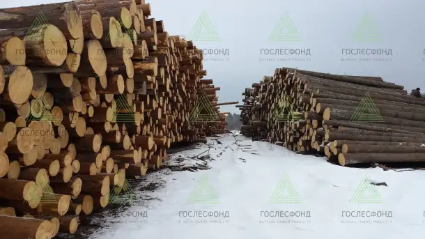 Пиловочник хвойный ель, сосна ГОСТ 9463-88, 18-60 см, фотография 1