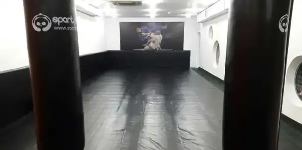 Борцовский ковер, стеновые протекторы, маты..., фотография 10