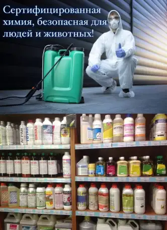 Дезинфекция Уничтожение тараканов клопов мышей Дезинсекция. Удаление запахов, плесени, фотография 4
