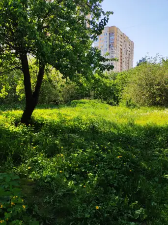 Продаю земельный участок в центре Сормово, Нижний ул. Калашникова д 14, фотография 5