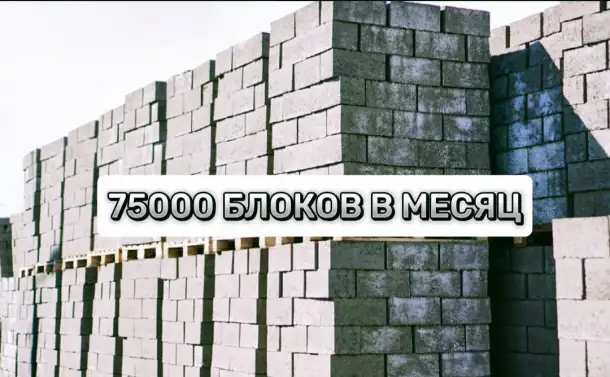 Продам стабильное производство. Блоки для домов. Арболит. Керамзит. 1 млн прибыли, фотография 10