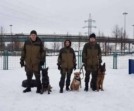 Дрессировка собак и щенков любых возрастов, фотография 5