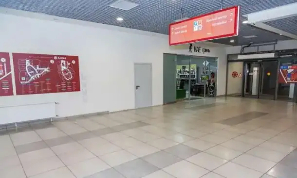 Шампура в подарок 