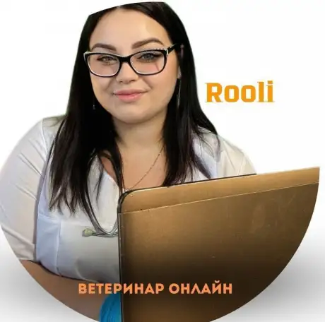 Ветеринар - Консультация онлайн, фотография 1