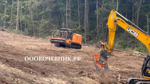 Спил деревьев и кустарников, мульчирование, фотография 7