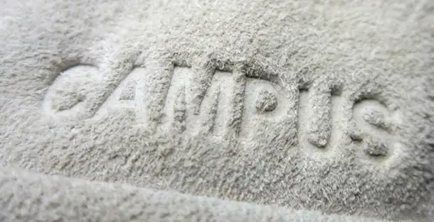 Оригинальные Adidas campus мужские кроссовки, фотография 3
