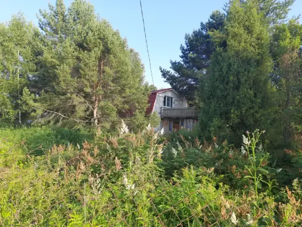продажа дом Дорожник-3 Дальнеконстантиновский р-н. 50,00 м2, фотография 2