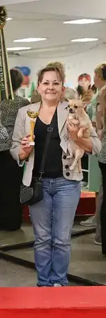 Вязка с Чемпионом. Очень красивый кобель чихуахуа., фотография 5