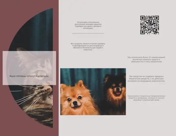 The LIMITED CLEAN service, фотография 4