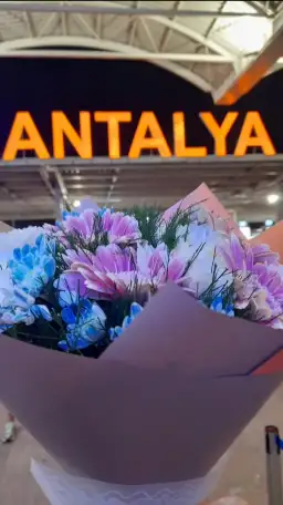 VIP ТРАНСФЕР В  АНТАЛИИ ТУРЦИЯ, фотография 5