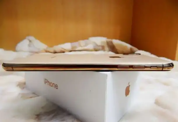 Apple iPhone XS Max Gold 256GB 2-SIM, фотография 5