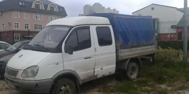 Газель фермер , фотография 3