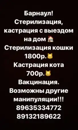 Ветеринарные услуги, фотография 1