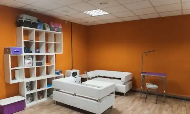Открой гостиницу для животных вместе с BookingCat, фотография 9