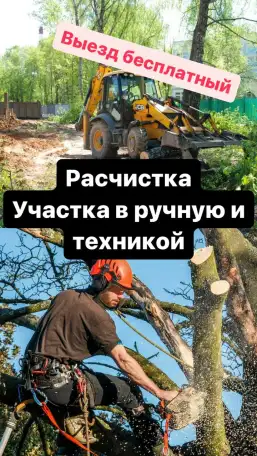 Cад, Благоустройство, фотография 1