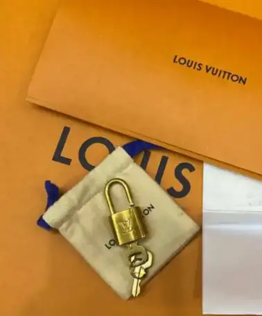 Сумка Louis Vuitton speedy, фотография 3